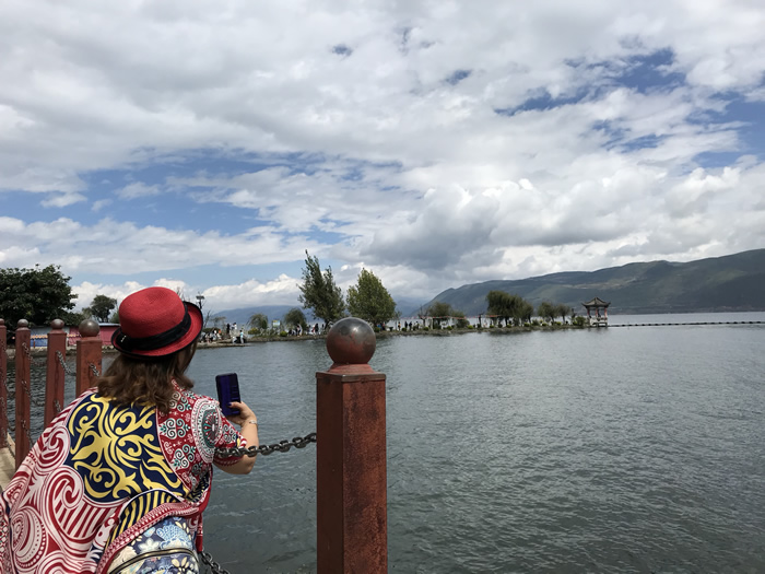 教练与戏剧 菲飞鱼鱼教练 教练与戏剧 菲飞鱼鱼教练