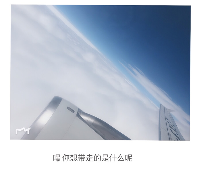 教练与戏剧 菲飞鱼鱼教练 教练与戏剧 菲飞鱼鱼教练